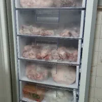 فروش فریزر راشل و یخچال ارج|یخچال و فریزر|سیرجان, |دیوار