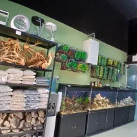 ماهی آکواریوم و لوازم