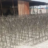 استخدام جوشکار حفاظ شاخ گوزنی با جای خواب + کنترات|استخدام معماری، عمران و ساختمانی|نسیم‌شهر, |دیوار