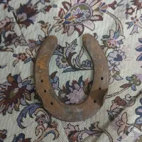 نعل اسب|اسب و تجهیزات اسب‌سواری|فردیس, شهرک شهید حسینی|دیوار