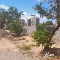 باغچه-بادام-سنددار