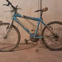 دوچرخه دنده ای ۲۴|دوچرخه، اسکیت، اسکوتر|رفسنجان, |دیوار