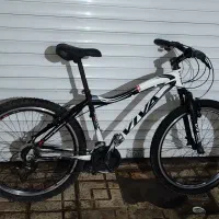 دوچرخه ویوا