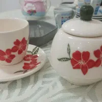 تعدادی ظرف  بعضی ها نو نو