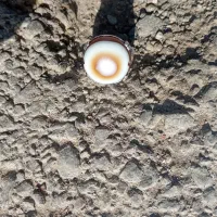 انگشتر قدیمی سنگ اوپال ،سنگ مخصوص مهرماهی ها|کلکسیون اشیاء عتیقه|اسدآباد, |دیوار