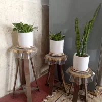 گل وپایه گل باهمدیگه