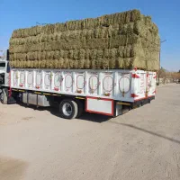 بیده یونجه|عمده‌فروشی|گناباد, |دیوار