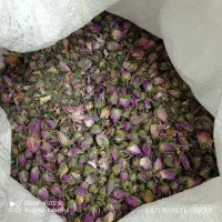 فروش غنچه گل محمدی تمیز امسال