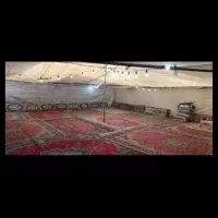 ظروف کرایه تشریفات چمن|خدمات پذیرایی، مراسم|همدان, |دیوار