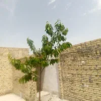 200با30اجاره