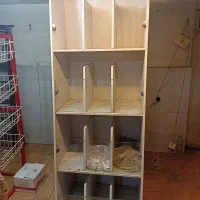 استند شکلات