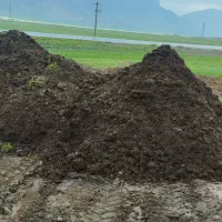 کود حیوانی پوسیده