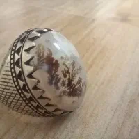 انگشتر شجر یخی و دو انگشتر شرف الشمس