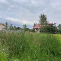 زمین-باغی