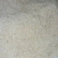 برنج هاشمی|خوردنی و آشامیدنی|رشت, رودباری|دیوار