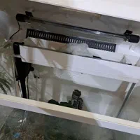 آکواریوم|ماهی|فردیس, شهرک راه آهن|دیوار