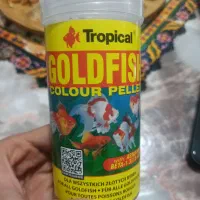 غذای گلدفیش تروپیکال|ماهی|فردیس, منظریه|دیوار