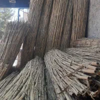 حصیر نی درشت برای سایبان