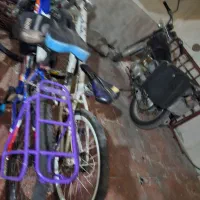 دوچرخه ۲۴ اصلی ویوو|دوچرخه، اسکیت، اسکوتر|بندر ماهشهر, |دیوار