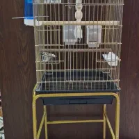 قفس کاسکو و طوطی