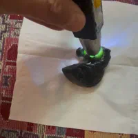 سردیس اسب|اسب و تجهیزات اسب‌سواری|تهران, ارم|دیوار