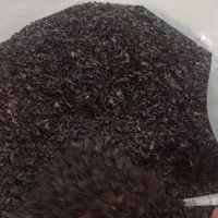 فروش چای