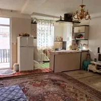 اجاره آپارتمان ۵۰ متری ۱ خوابه طبقه ۳