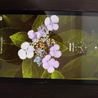 تبلت سامسونگ a7