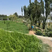 زمین باغی کنار دریاچه باباشیخعلی(شهر زاینده رود|فروش زمین و ملک کلنگی|فولادشهر, زاینده رود|دیوار