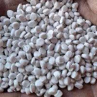 کربنات آدامسی