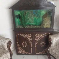 اکواریم