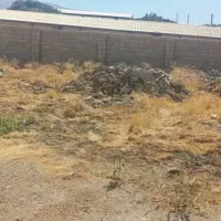 واگذاری سگ ژرمنی