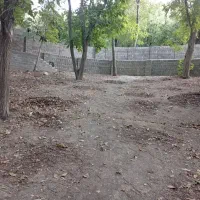 فروشنده صددرصد ۱۰۰|فروش زمین و ملک کلنگی|لواسان, |دیوار