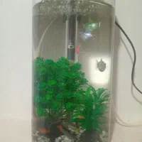 آکواریوم با لوازم و ماهی ها