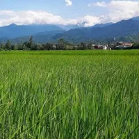 مشارکت در ساخت فقط پروژه های بزرگ