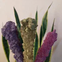 شاخه نبات دمنوشی|خوردنی و آشامیدنی|قرچک, شهرک طلائیه|دیوار