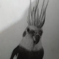 سیاه قلم و رنگ و روغن