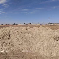 فروش عمده کاه لوبیا موجود هست تحویل درب شرکت