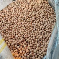 پخش عمده انواع نخود ایرانی|خوردنی و آشامیدنی|شهریار, شهرک شاهد|دیوار