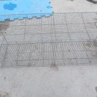 قفس کفتر مرغ عشق