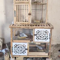 جفتگاه قفس کفتر جوجه مرغ