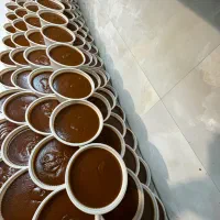 پخش سمنو عمده