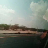 اجاره،ملک،مسکنی