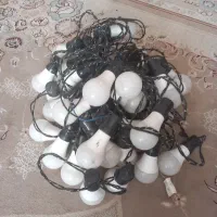 ریسه ال ای دی