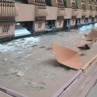 استخدام|استخدام اداری و مدیریت|تهران, بریانک|دیوار