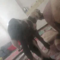 بره شیری درشت