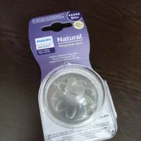 سرشیشه شیراونت