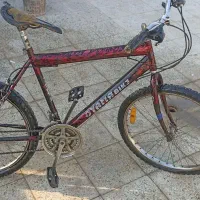 دوچرخه شماره تنه ۲۴