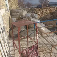 ذرت علوفه ای