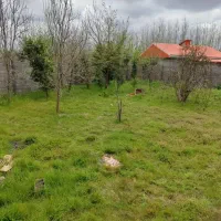 1000متر زمین70متر بنا کلیدنخورده (دور دیوار دو بر)|فروش خانه و ویلا|لشت نشا, |دیوار